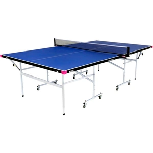 Sweatband Butterfly Fitness Indoor Table Tennis Table